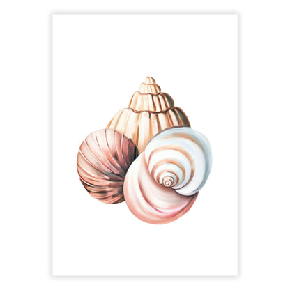 Boho Seashells Wall Art Canvas Print