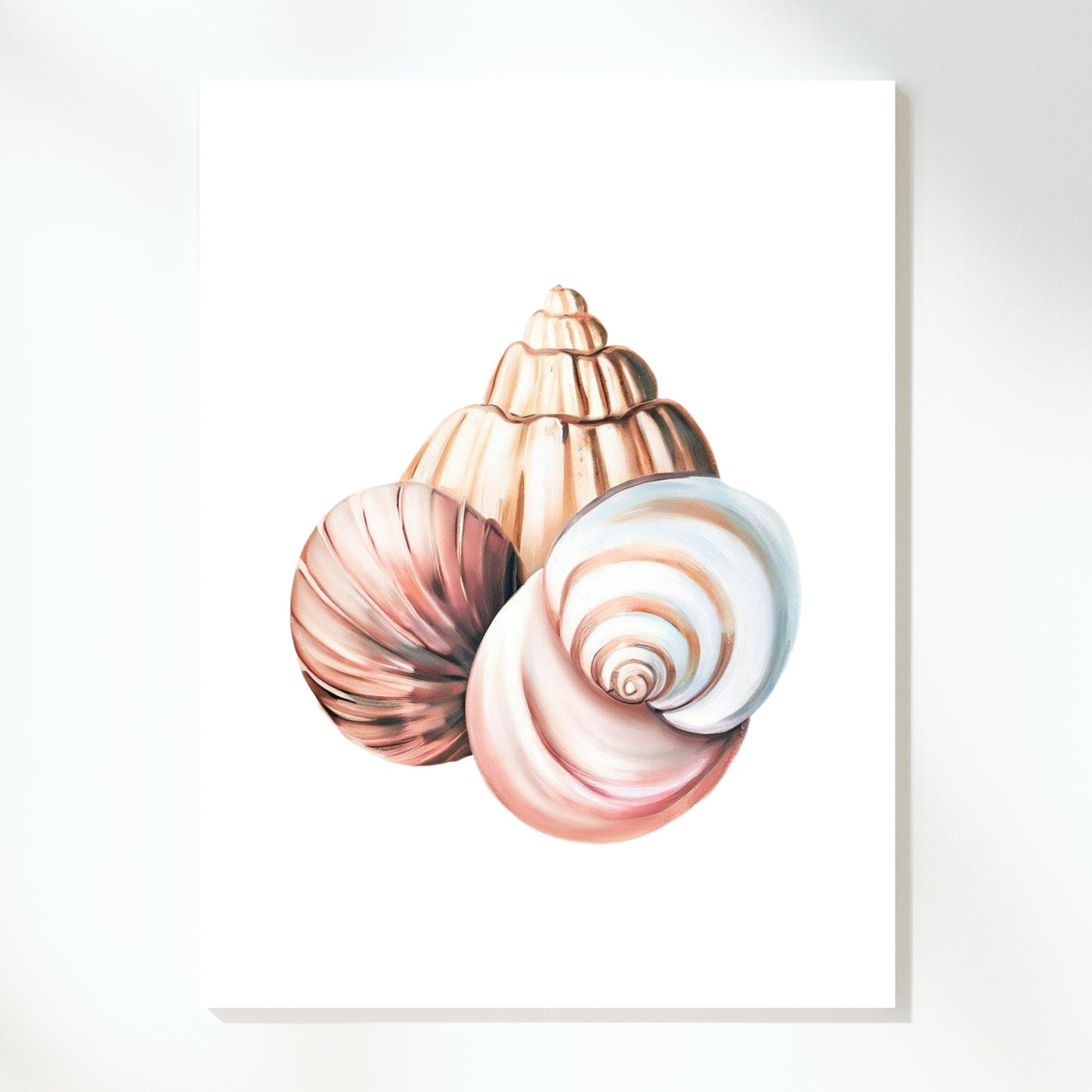 Boho Seashells Wall Art Canvas Print