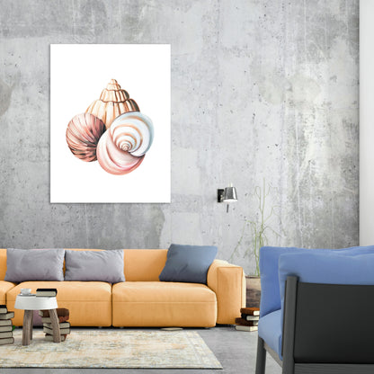 Boho Seashells Wall Art Canvas Print