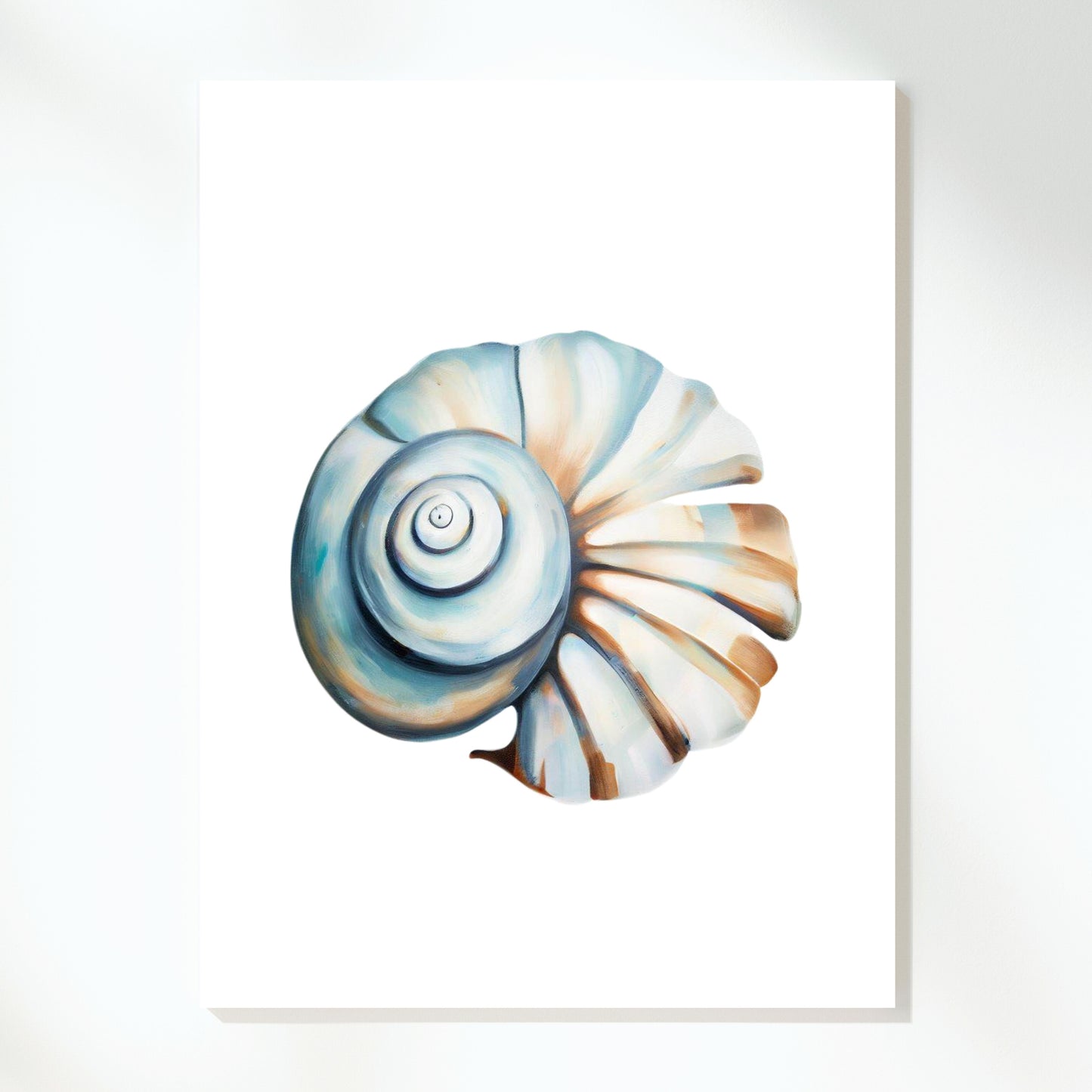 Natural Shell Wall Art Canvas Print