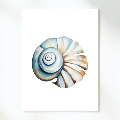 Natural Shell Wall Art Canvas Print