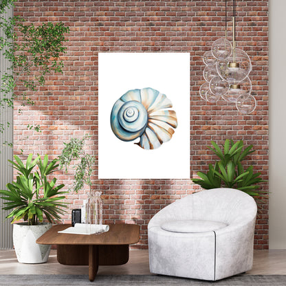 Natural Shell Wall Art Canvas Print