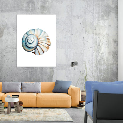 Natural Shell Wall Art Canvas Print