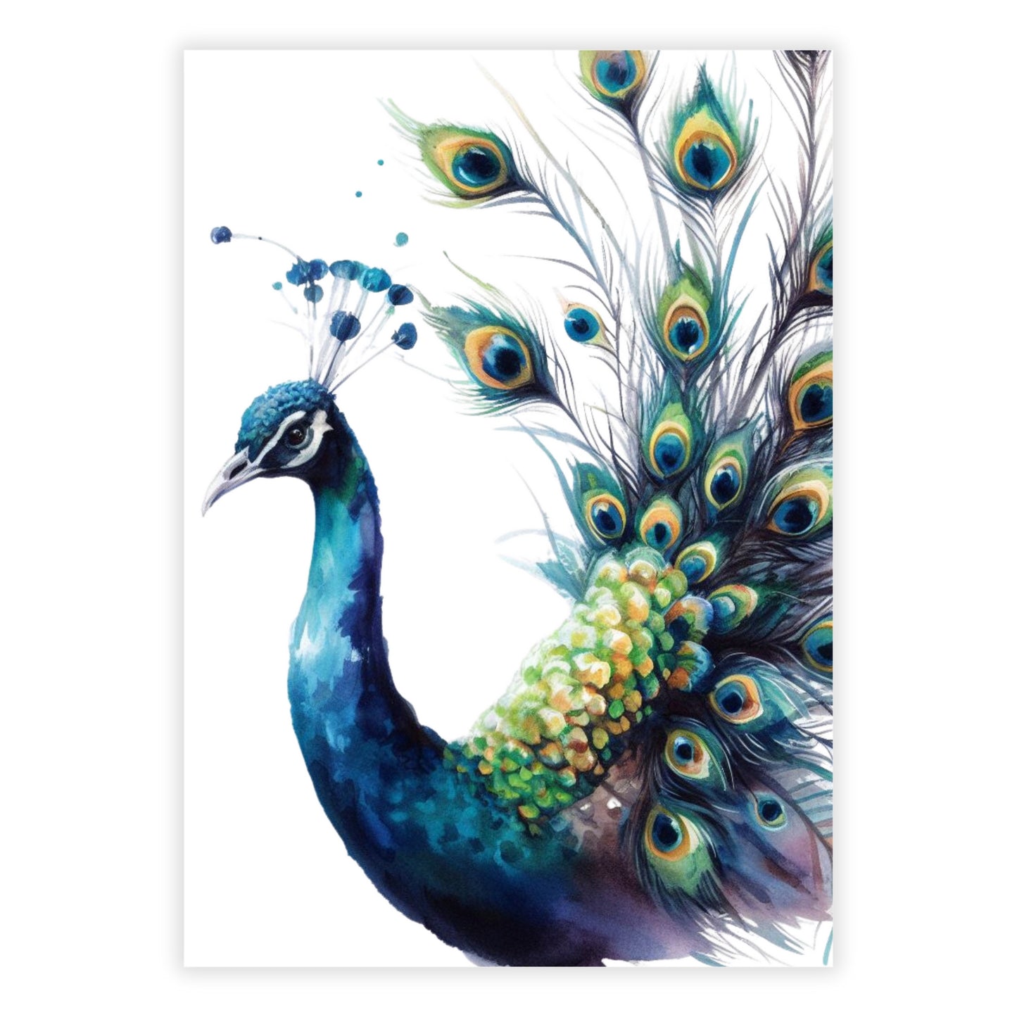 Peacock Wall Art Canvas Print