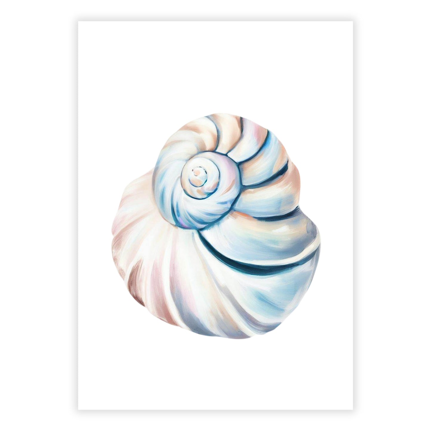 Seashell Calm Wall Art Canvas Print