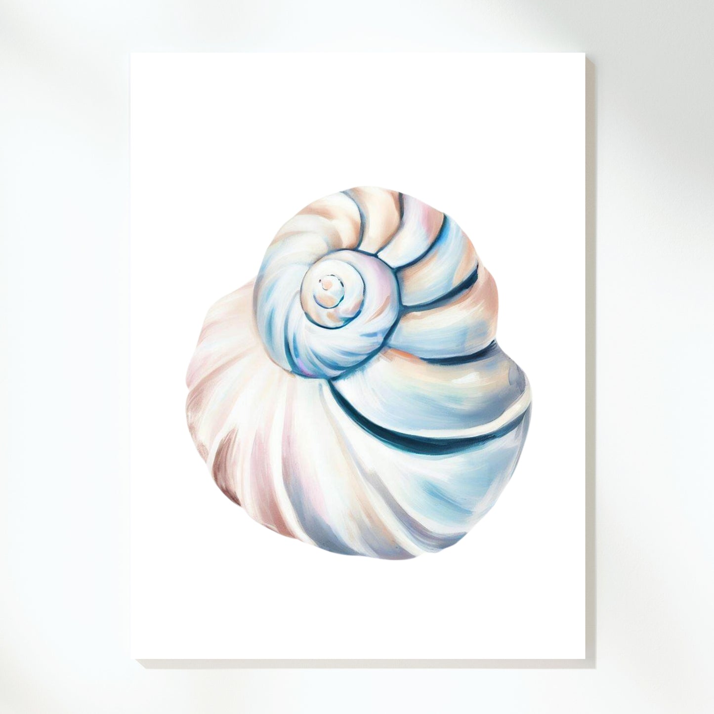 Seashell Calm Wall Art Canvas Print