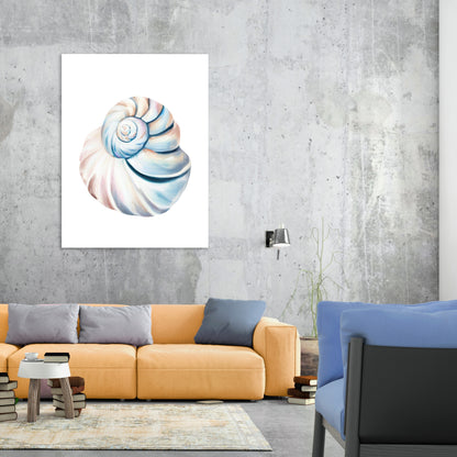 Seashell Calm Wall Art Canvas Print