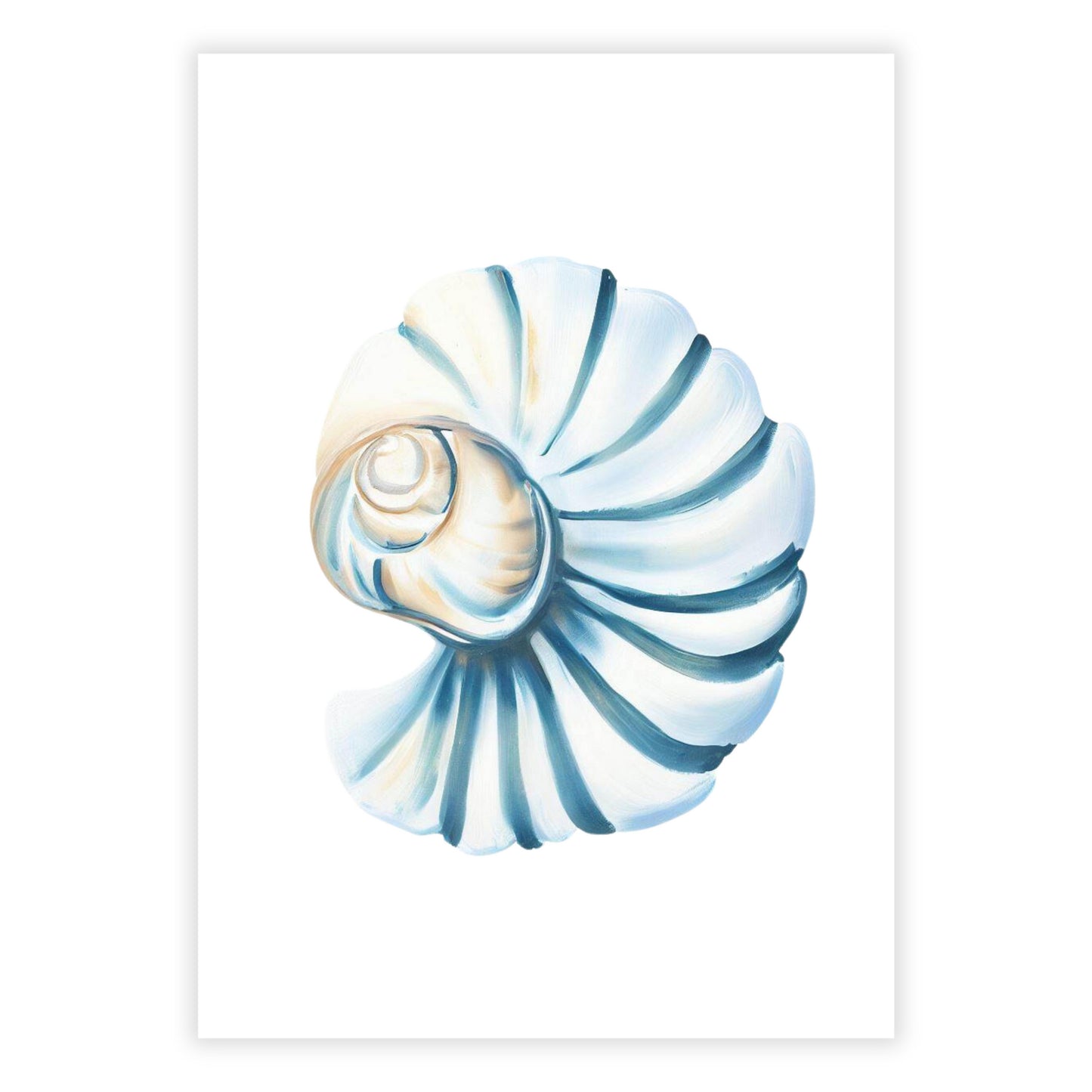 Seashell Beauty Wall Art Canvas Print