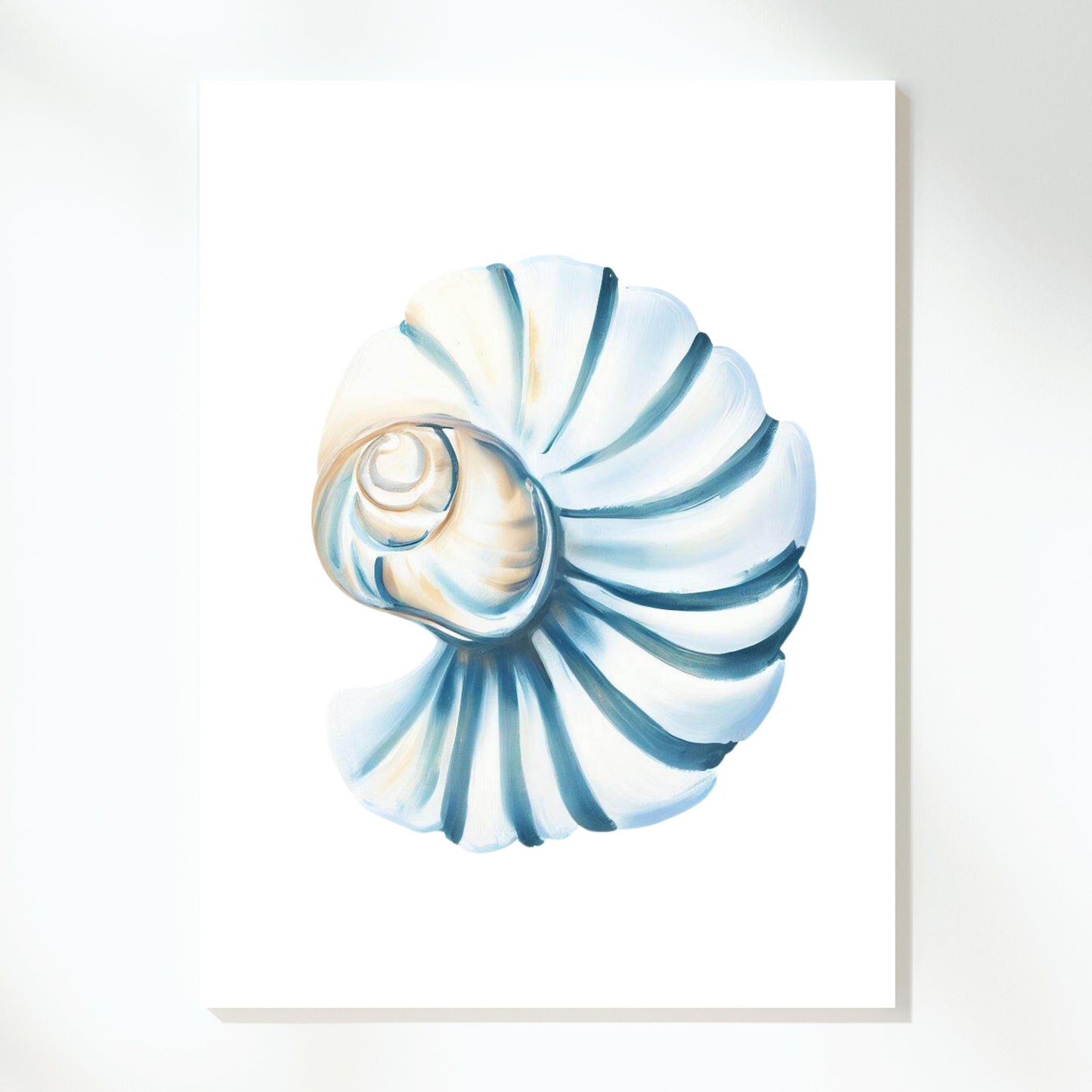 Seashell Beauty Wall Art Canvas Print