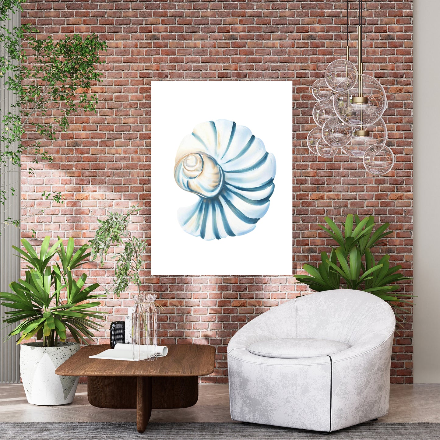 Seashell Beauty Wall Art Canvas Print