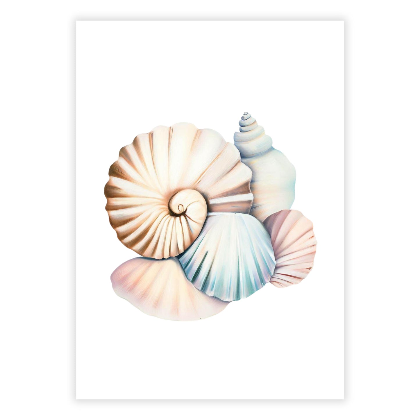 Seashell Medley Wall Art Canvas Print