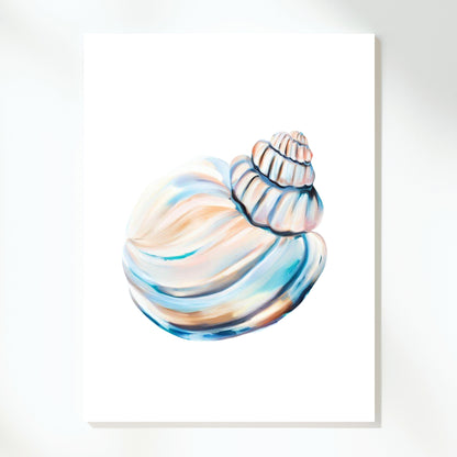 Seashell Magic Wall Art Canvas Print