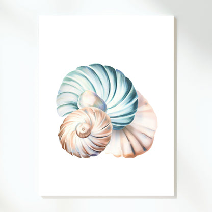 Seashell Wonders Wall Art Canvas Print