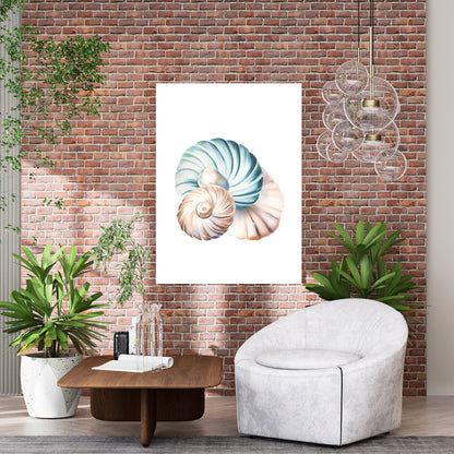 Seashell Wonders Wall Art Canvas Print