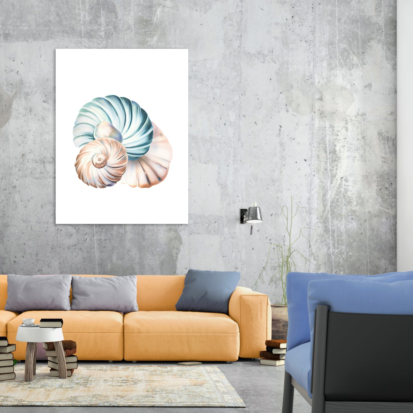 Seashell Wonders Wall Art Canvas Print