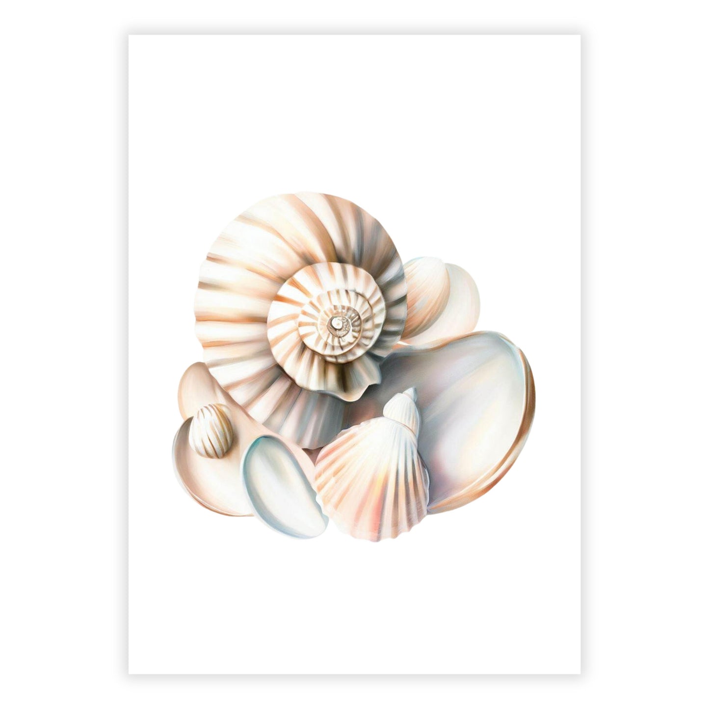 Seashell Sonata Wall Art Canvas Print