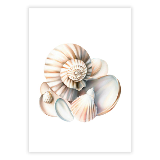 Seashell Sonata Wall Art Canvas Print