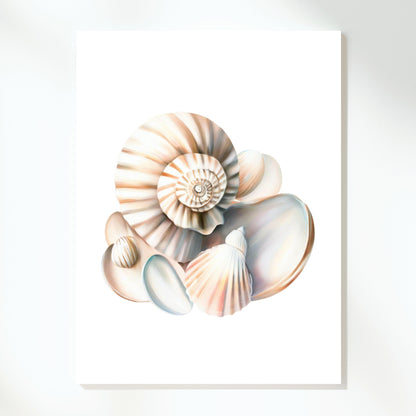 Seashell Sonata Wall Art Canvas Print