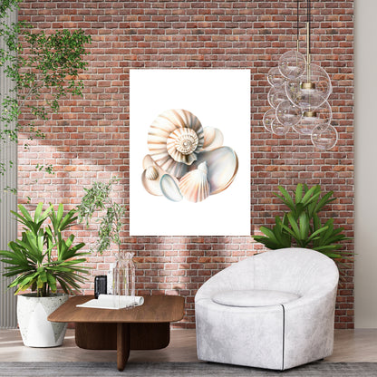 Seashell Sonata Wall Art Canvas Print