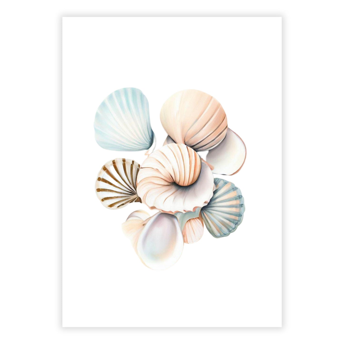 Serenity Shells Wall Art Canvas Print