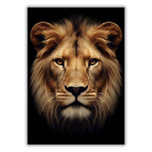 Lion Gaze Animal Kingdom Wall Art Canvas Print