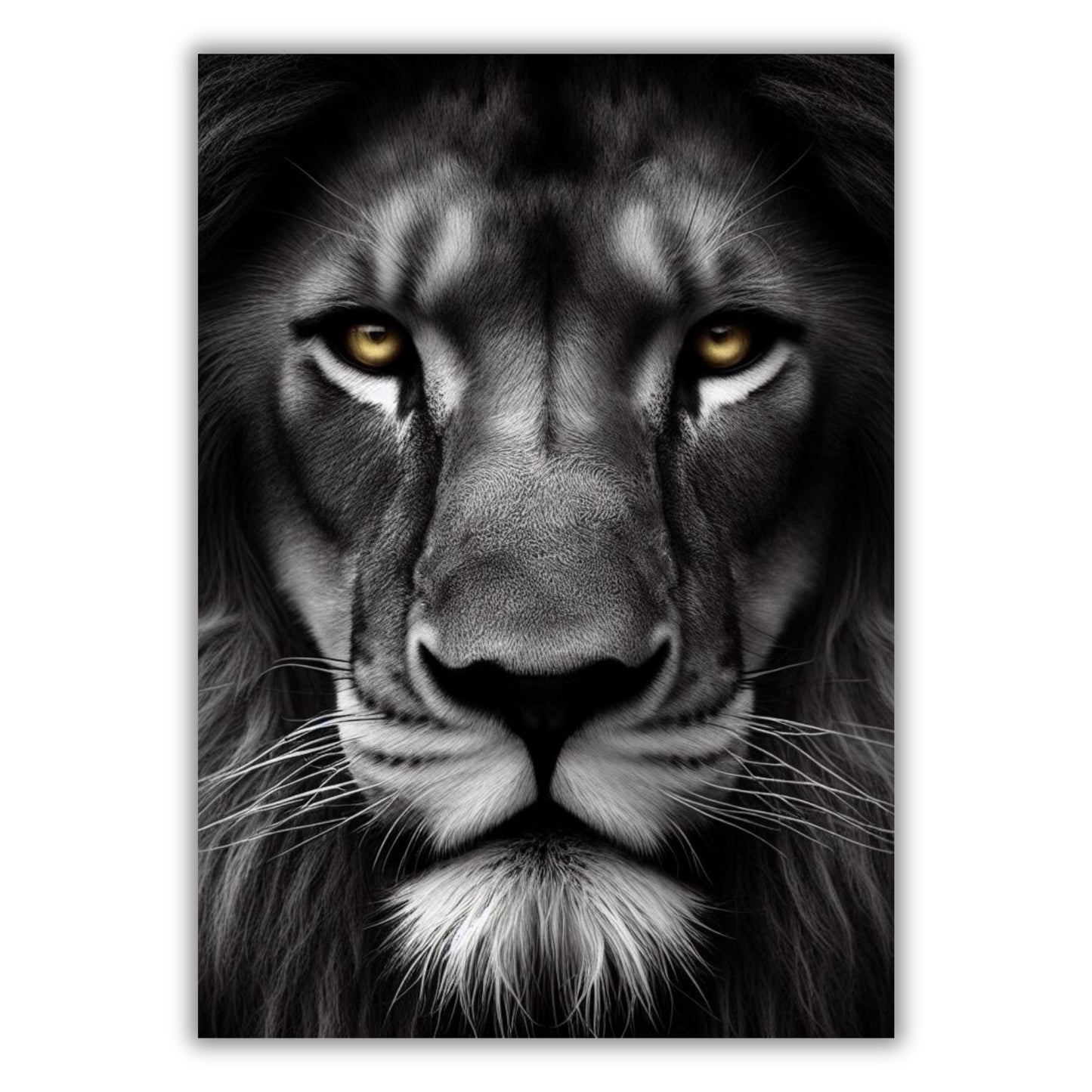 A Lion's Stare Animal Kingdom Wall Art Canvas Print