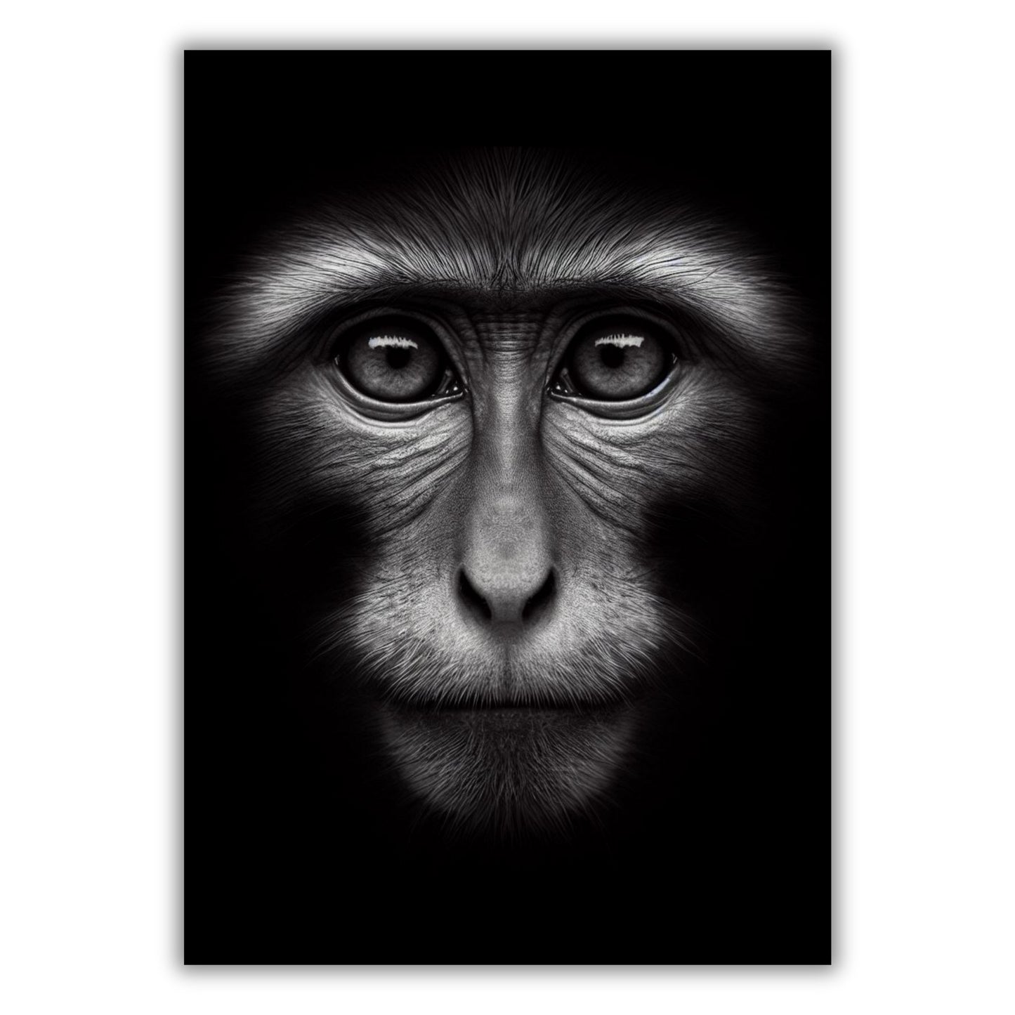 Monkey Love Animal Kingdom Wall Art Canvas Print