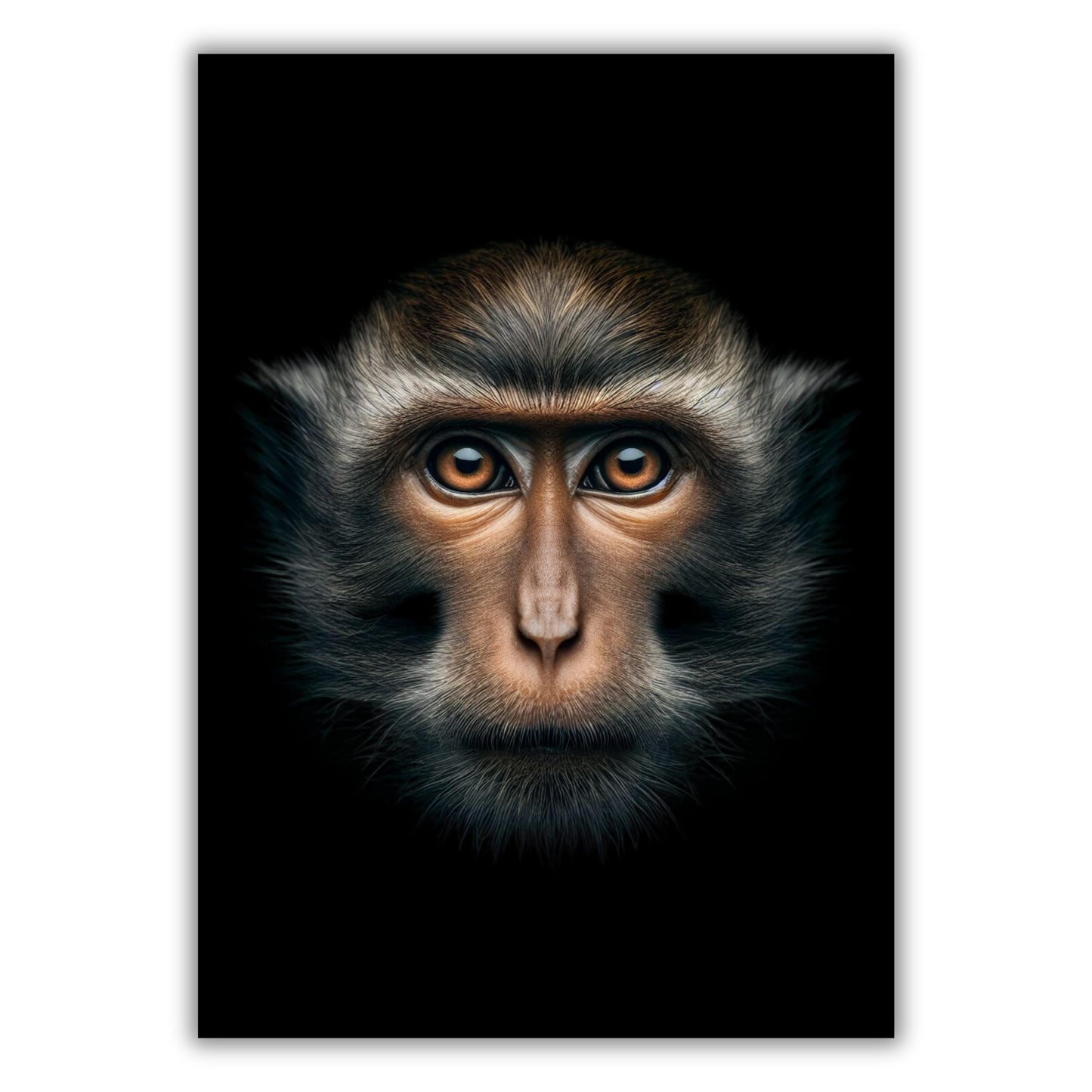 Monkey Gaze Animal Kingdom Wall Art Canvas Print