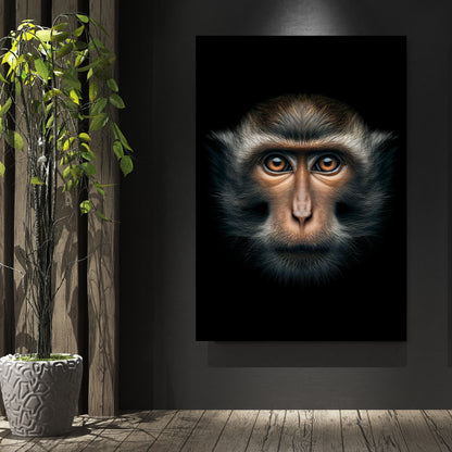 Monkey Gaze Animal Kingdom Wall Art Canvas Print