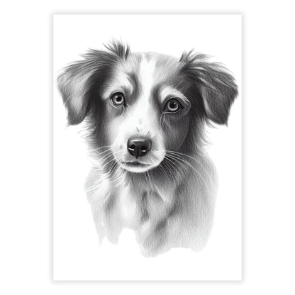 Border Collie Dog Sketch Wall Art Canvas Print