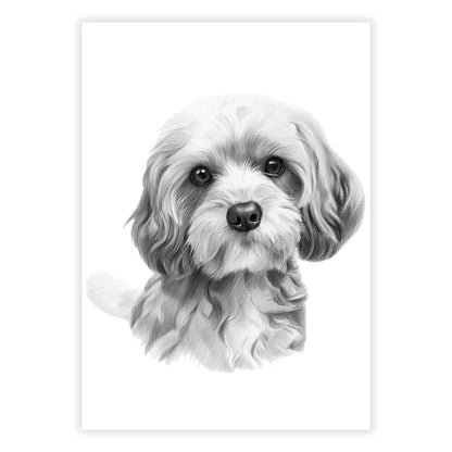 Cavoodle Love Sketch Wall Art Canvas Print