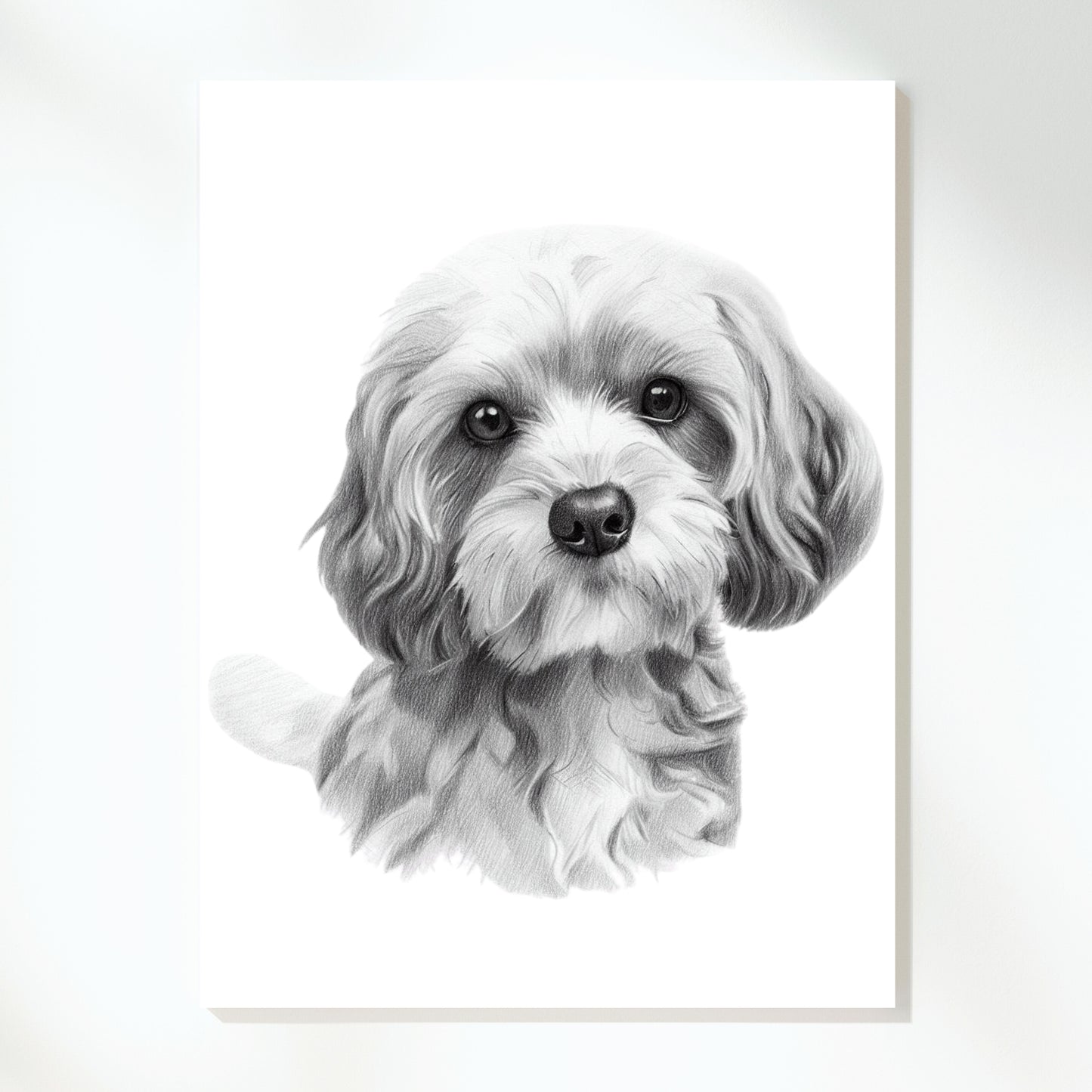 Cavoodle Love Sketch Wall Art Canvas Print