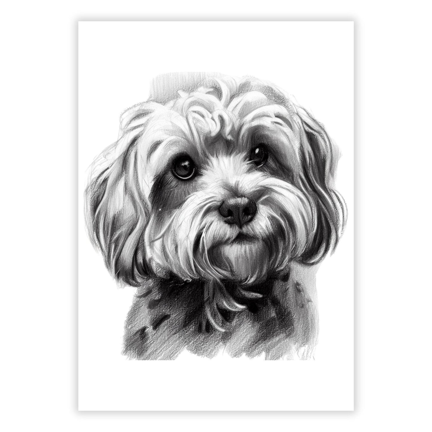 Cavoodle Dog Sketch Wall Art Canvas Print