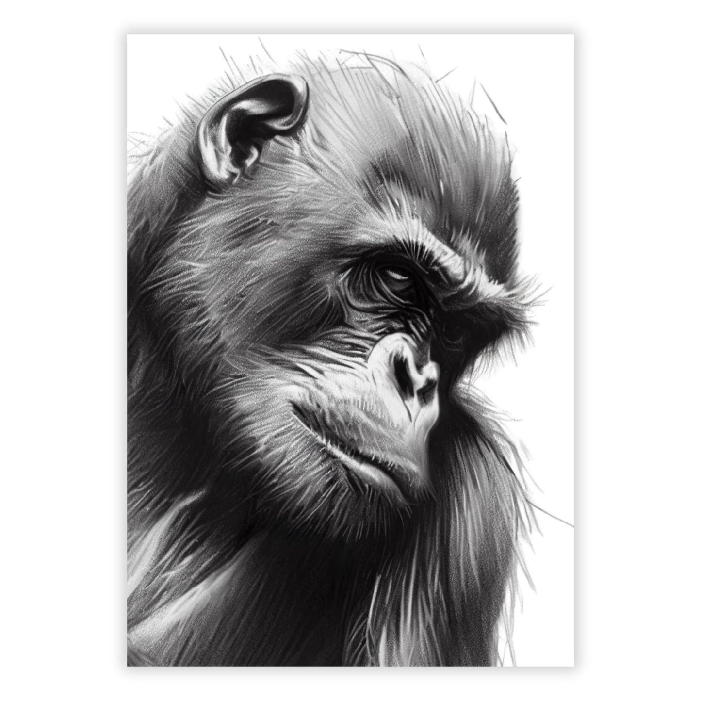 Monkey Sketch Wall Art Canvas Print