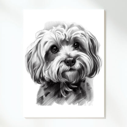 Cavoodle Dog Sketch Wall Art Canvas Print