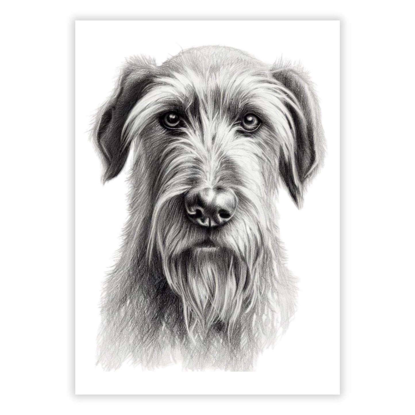 Irish Wolfhound Dog Adore Sketch Wall Art Canvas Print