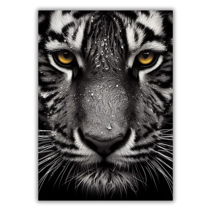 A Tigers Stare Animal Kingdom Wall Art Canvas Print