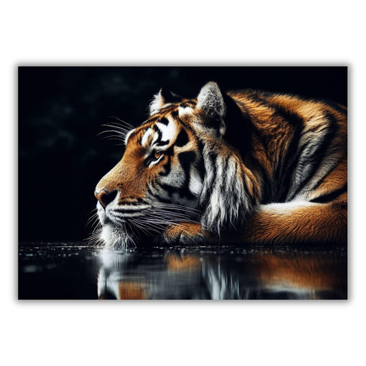 Tiger Reflection Animal Kingdom Wall Art Canvas Print