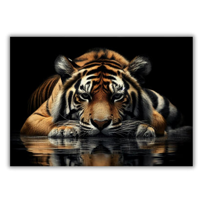 Tiger Zen Animal Kingdom Wall Art Canvas Print