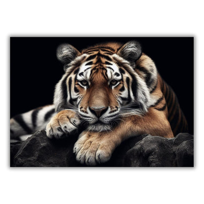 Tiger's Watch Animal Kingdom Wall Art Canvas Print