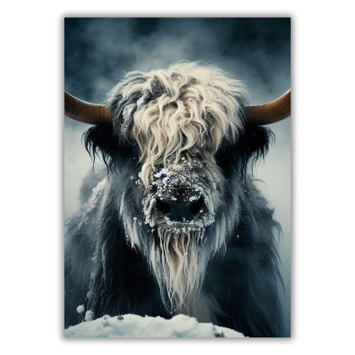 Wild Yak Animal Kingdom Wall Art Canvas Print