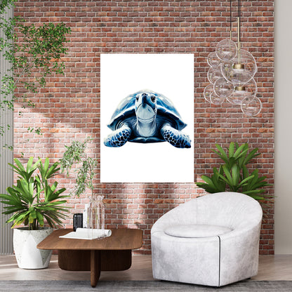 Hamptons Turtle Wall Art Canvas Print