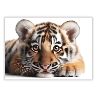 Tiger Cub Animal Kingdom Wall Art Canvas Print